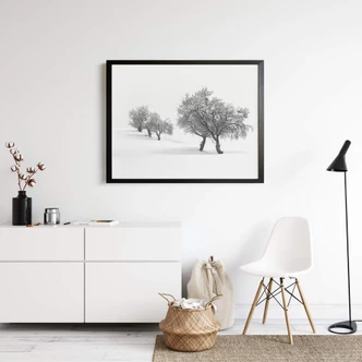 Poster Carrillo Lopez - Weiße Landschaft 