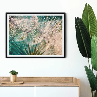 Poster Delgado - Glittery Dandelions 