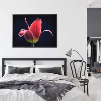 Poster Grønkjær - First Tulip 