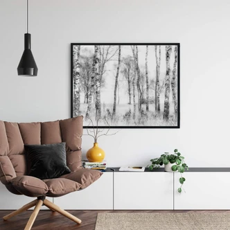 Poster Talen - Forêt de bouleaux noirs et blancs 