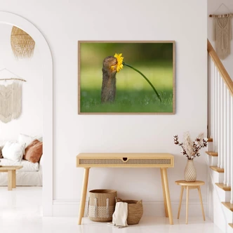 Plakat - van Duijn - Egern dufter til blomst 