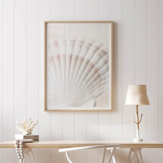 Poster 1X Studio - Jakobsmuschel 