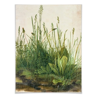 Poster Dürer - Das große Rasenstück - aus der LandIDEE Wohnen & Deko Kollektion  