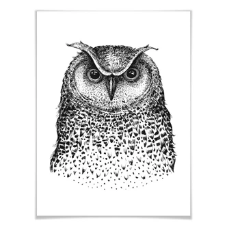 Poster Kvilis - Eule 01 