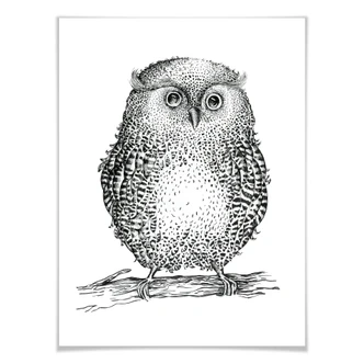 Poster Kvilis – Uil 02 