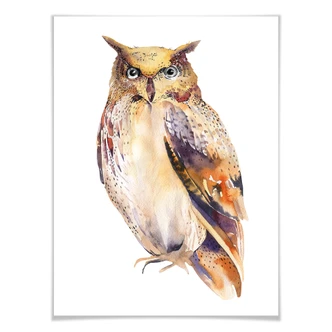 Poster Kvilis – Portret van een Uil 