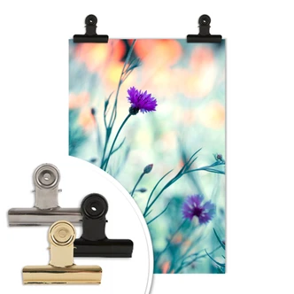 Poster Bravin - Luminous Purple Poster Bravin - Luminous Purple