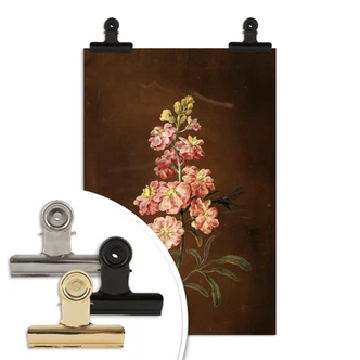 Poster Dietzsch -  Eine rosa Garten Levkkoje 