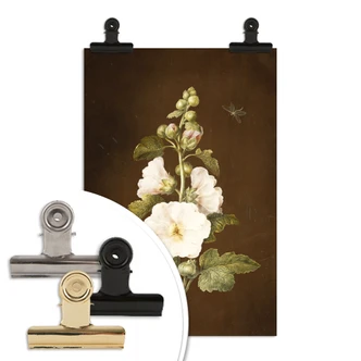 Poster Dietzsch - Stockrose 