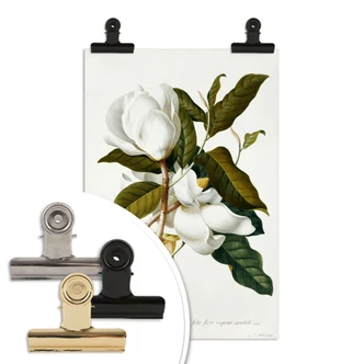 Poster Ehret - Magnolie 