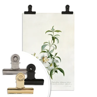 Poster Ehret - Zistrose 