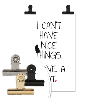 Poster I can\'t have nice Things - Cat 