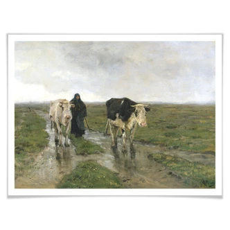 Poster Mauve - Changement de pâturage 