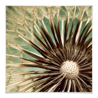 Poster Maskros Poesi - fyrkantig 