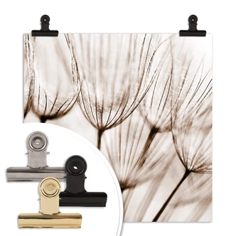 Poster Paardebloemen Poster Paardebloemen