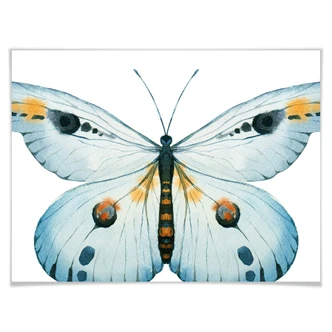 Poster Kvilis – Vlinder 03 