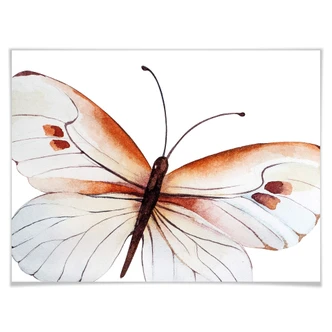 Poster Kvilis – Vlinder 04 