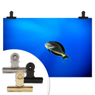 Poster Catta - Deep Ocean 