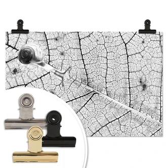 Poster Bravin - Transparant Poster Bravin - Transparant