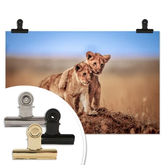 Poster Sink - Brothers for Life 