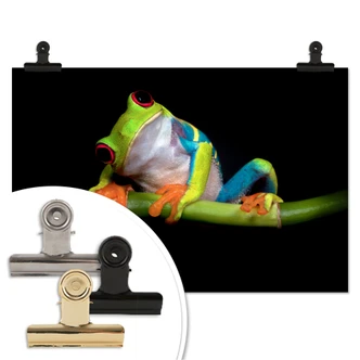 Poster Valverde - Green Frog 