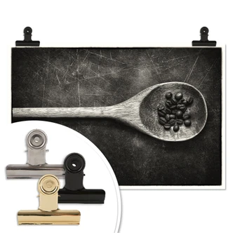 Poster Laramee - wooden spoon 