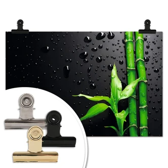 Poster Bamboe op zwart 