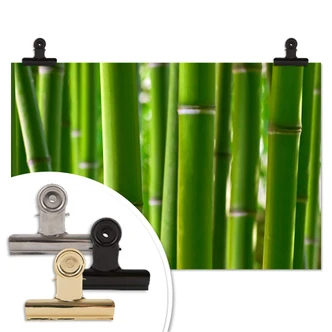 Poster Bos vol Bamboe 