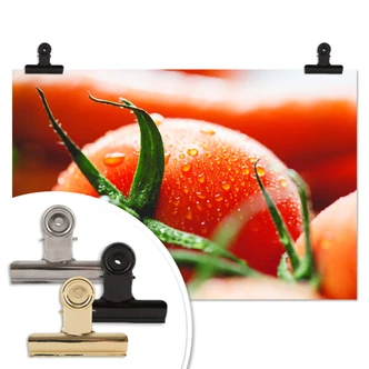 Poster Fresh Tomato 
