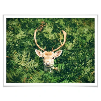 Poster Verstoppertje in het Bos 