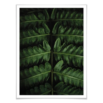 Plakat - Botanical 02 Plakat - Botanical 02