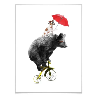Poster Cycling Bear 