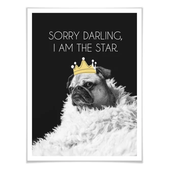 Poster Sorry Darling Poster Sorry Darling