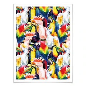 Poster Tropical Birds 
