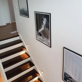 Poster Silver Linings 