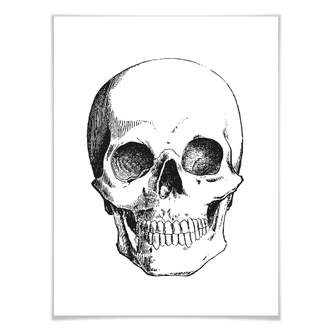Poster – Human Skull 