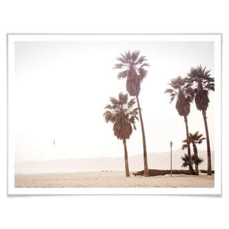Poster Palm Trees 