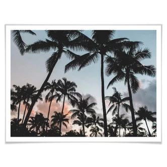 Poster Sunset and Palms 