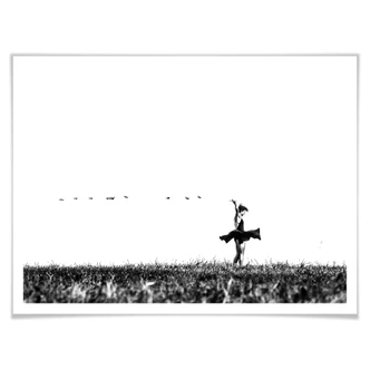 Poster Freedom Poster Freedom