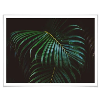 Plakat - Botanical 04 Plakat - Botanical 04