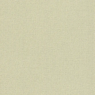 Rasch Vliesbehang Andy Wand 