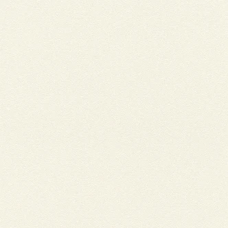 Rasch Vliesbehang Berlin 