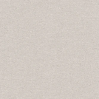 Rasch Vliesbehang Salsa steengrijs 