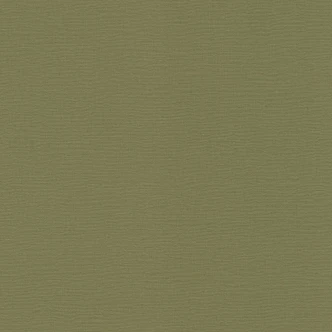 Rasch papier peint intissé, papier peint uni Salsa vert kaki 