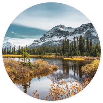 Fototapete Berg-Idylle am zauberhaften Kiefernwald - Rund - Selbstklebend/Vlies 