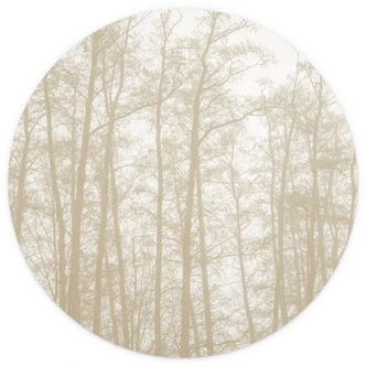 Fotomural Bosque silencioso de invierno - Böhmer - Redondo - autoadhesivo/no tejido Fotomural Bosque silencioso de invierno - Böhmer - Redondo - autoadhesivo/no tejido