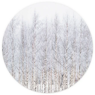 Fotomural Árboles del bosque | Bosque de abedules en invierno - EMELIEmaria - Redondo - autoadhesivo/no tejido Fotomural Árboles del bosque | Bosque de abedules en invierno - EMELIEmaria - Redondo - autoadhesivo/no tejido