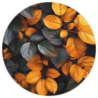 Fototapete Pflanzen - Leuchtende Blätterpracht im Herbst - Jaszke - Rund - Selbstklebend/Vlies 