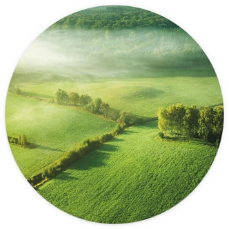 Fototapete Landschaft - Idyllische Felder im Nebel - Keller - Rund - Selbstklebend/Vlies 