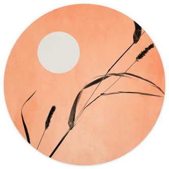 Tapet cirkel Siv i ferskenfarvet solskin - Kubistika - vliesetapet/selvklæbende non-woven tapet Tapet cirkel Siv i ferskenfarvet solskin - Kubistika - vliesetapet/selvklæbende non-woven tapet